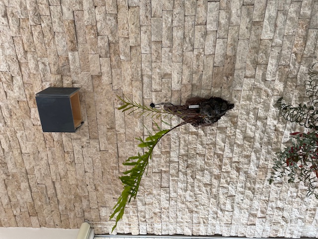 しつらえへ（平屋）✨（長久手市）