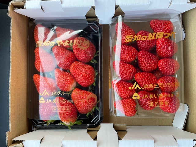 設計申込いただきました✨（半田市）
