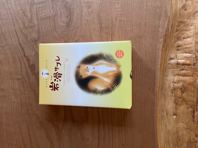 現場レポート✨(平屋建て・半田市)