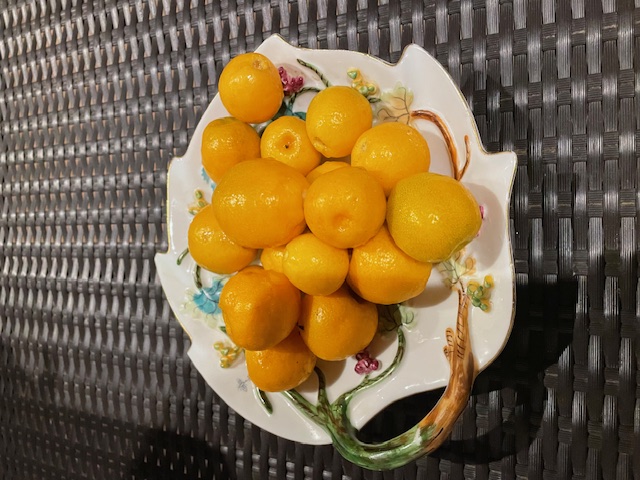 朝採れの金柑をいただきました✨