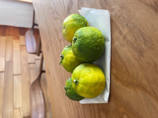 5年点検とフィルター交換へ✨(碧南市・東浦町)