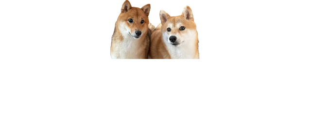 ページの先頭へ戻る