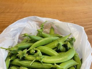 スナップエンドウありがとうございます。✨（東海市）